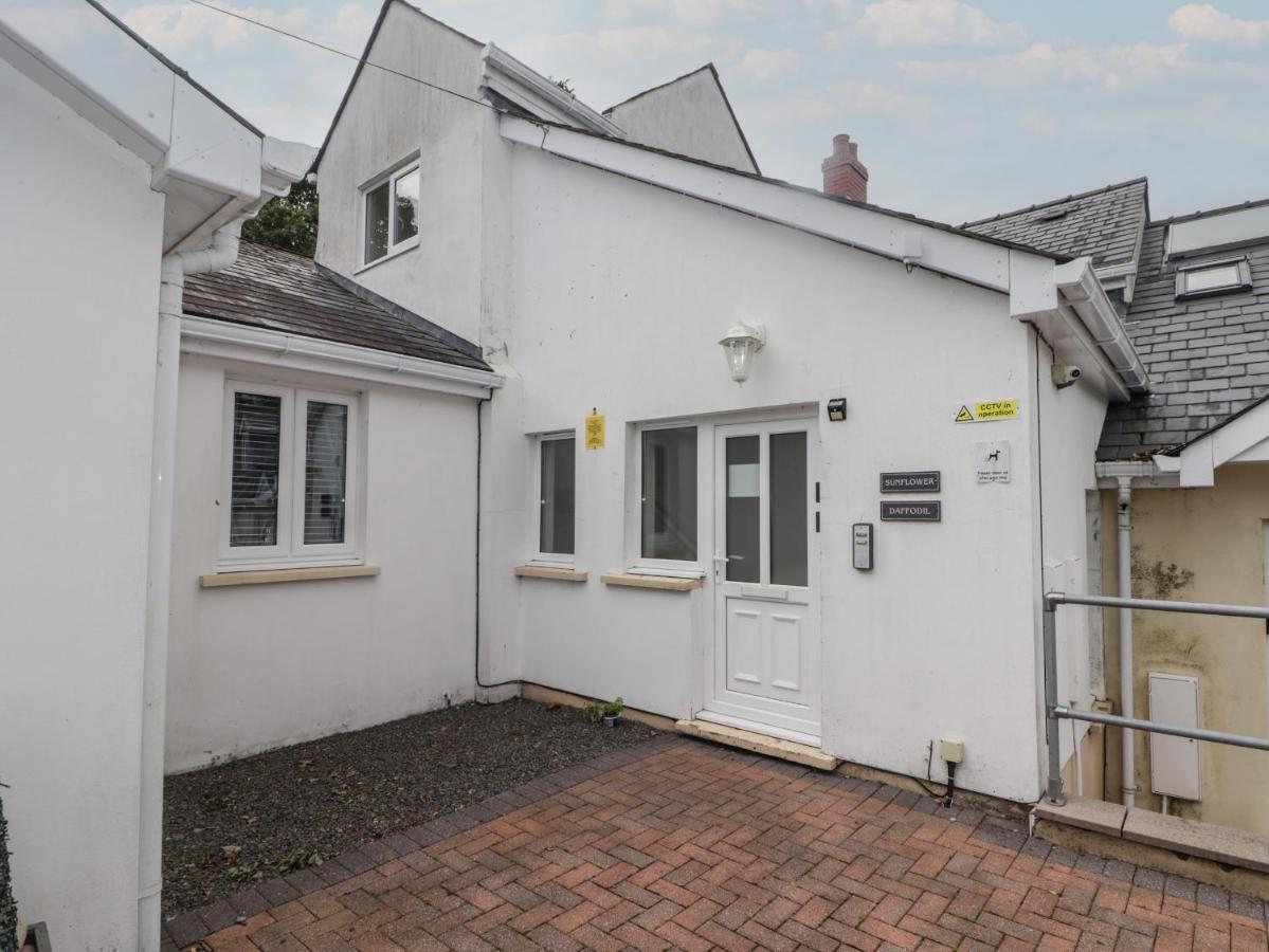 Daffodil Apartment Tenby Exterior photo