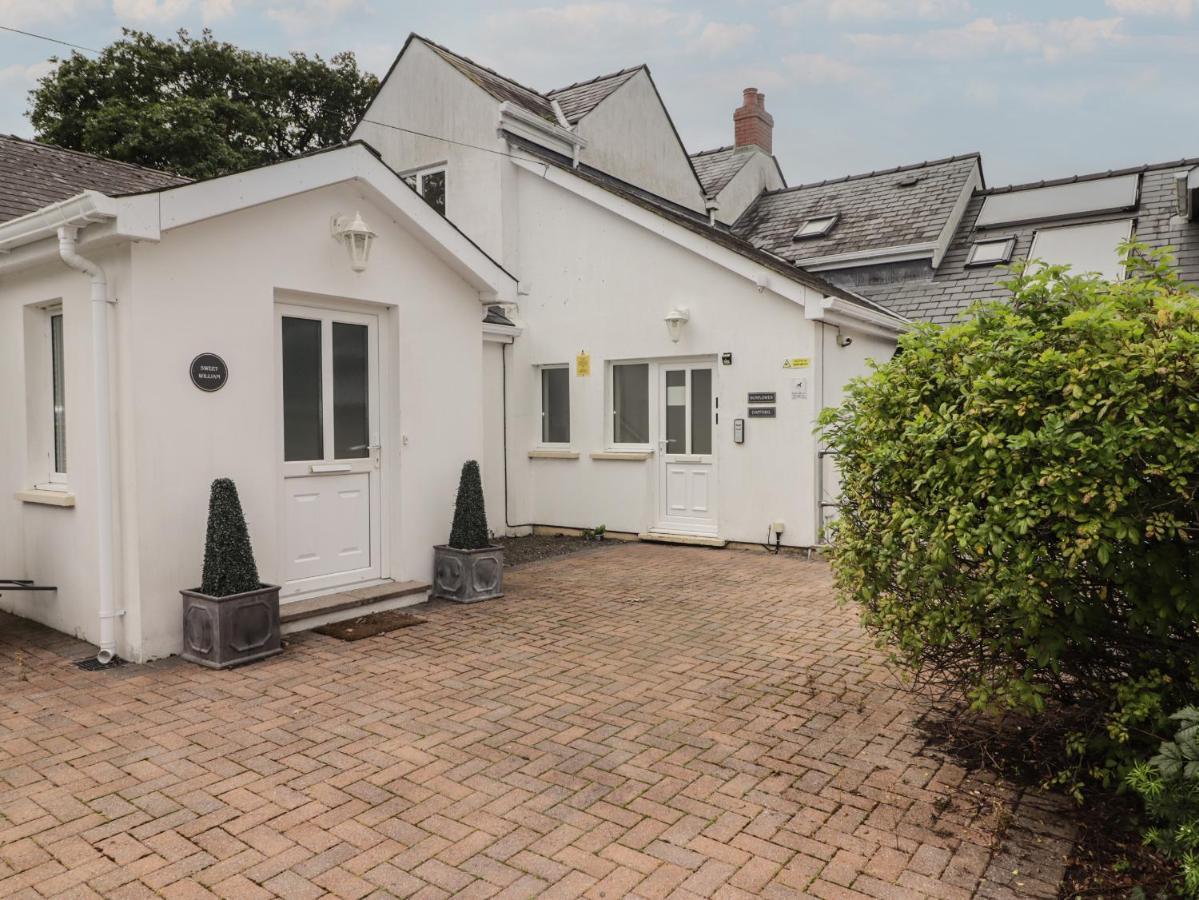 Daffodil Apartment Tenby Exterior photo